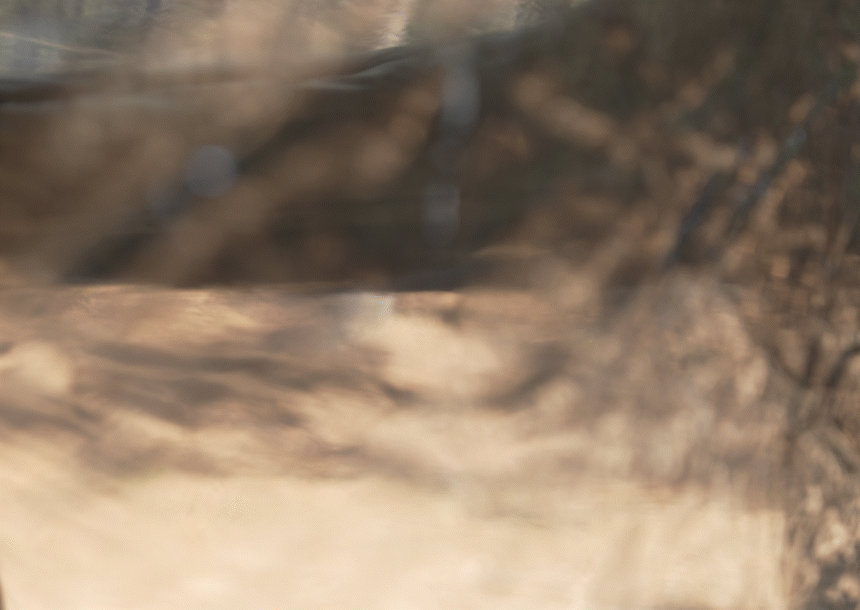 db23e310864cb81e4b50abf9a7f1f59b_1783310385_2017.gif